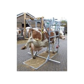 Klauenpflegestand WOPA SA0026