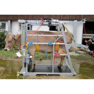 Klauenpflegestand PW 1 Profi - E PLUS