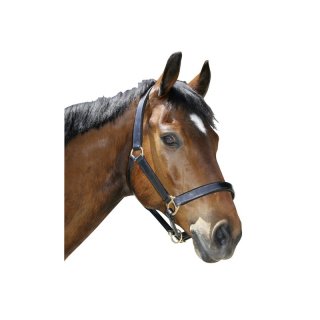 Pferdehalfter Leder Gr. 3