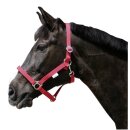 Perlonhalfter Gr. 3 für Warmblut -Made in Germany-