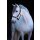 Ponyhalfter Leder