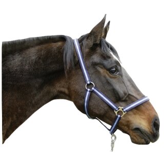 Perlonhalfter  HIPPO Gr. 3 für Warmblut