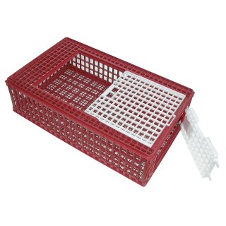 Geflügeltransportbox