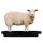 Klauenbad SuperKombi Mini für Schafe
