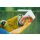 Easy Drencher 1,2 Liter