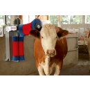 Kuhputzmaschine HAPPYCOW Duo