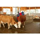 Kuhputzmaschine HAPPYCOW Duo