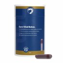 Bolus Euro Vital 24 Stück