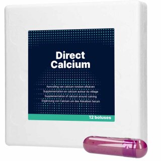 Bolus Direct Calcium 12 Stück