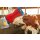 Kuhputzmaschine HAPPYCOW Uno