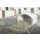 Kälberhütte CalfHouse Premium XXL -Sonderpreis-