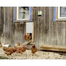 Hühnertür automatisch 220 x 330 mm