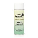White-Touch-up Spray