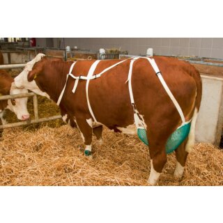 Zitzenschutznetz mit Nackengurt Gr. XL